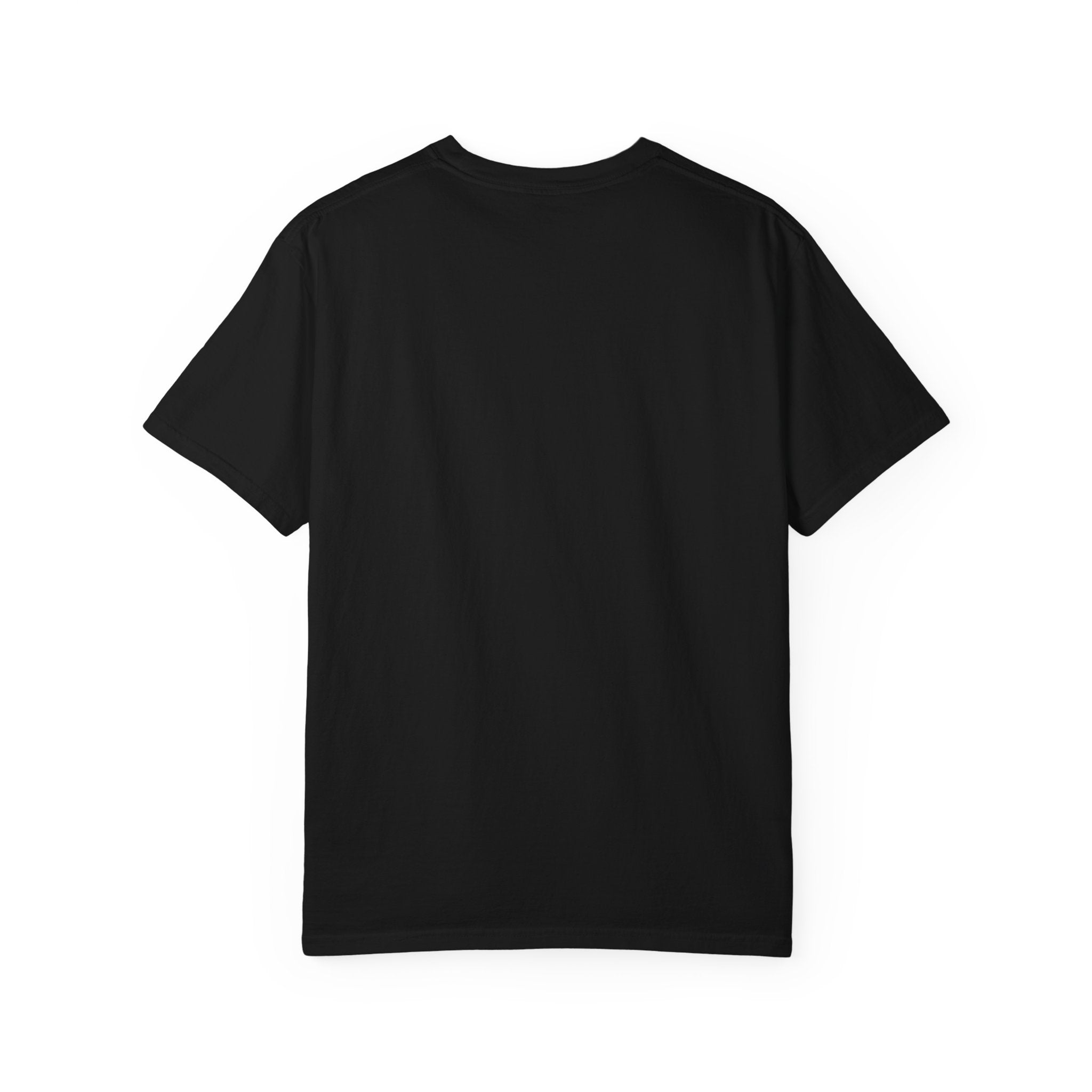RouteVora Premium Logo T-Shirt  Unisex Garment-Dyed Tee Soft Cotton Casual Shirt Business & Travel Lifestyle Apparel